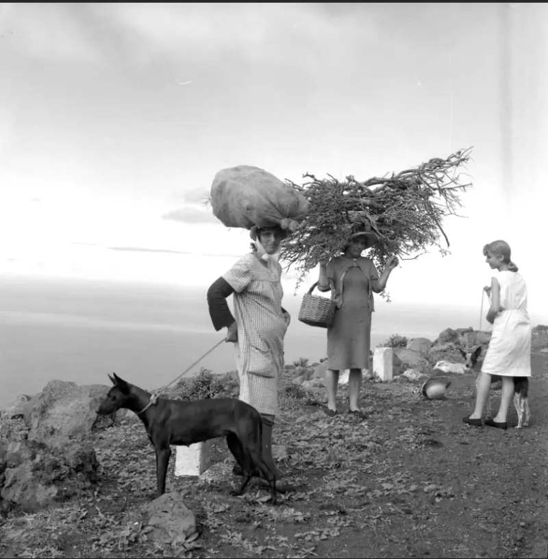 Mujeres en Fuencaliente